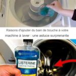 Ne désespérez pas, l’astuce de grand-mère pour nettoyer la saleté du four en 3 minutes