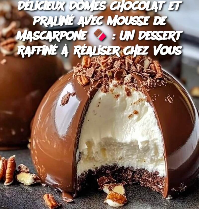 Dômes chocolat praliné mousse mascarpone