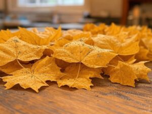 Feuilles de Brick Maison